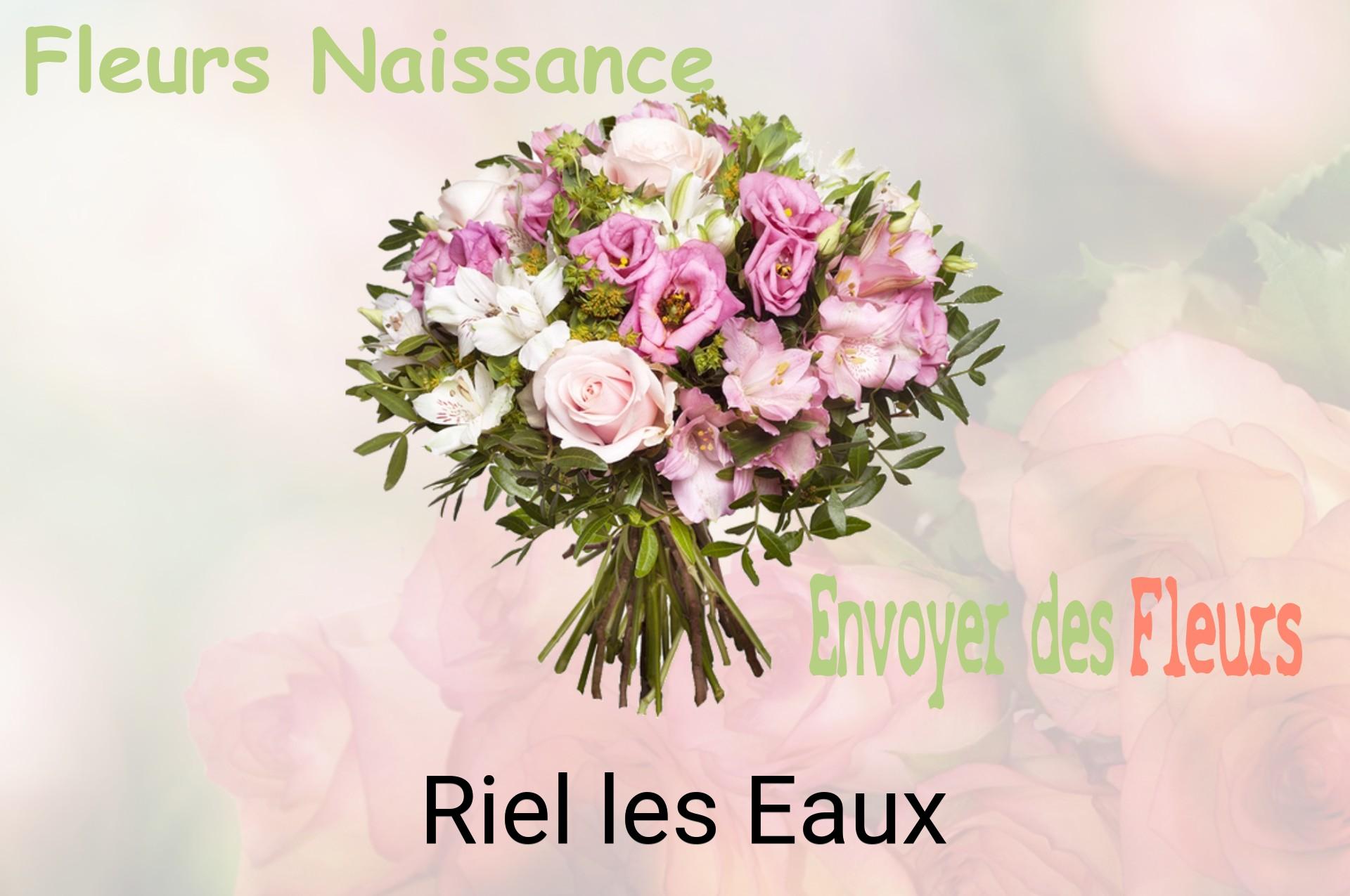Bouquet de fleurs de naissance livré à Riel-les-Eaux