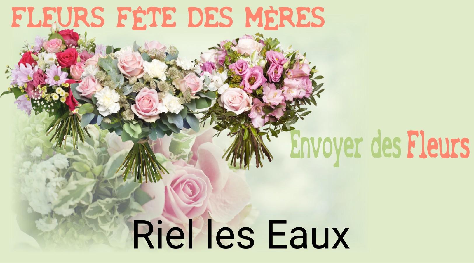 Bouquet de Fête des Mères livré à Riel-les-Eaux